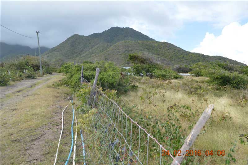 30 acre land for sale in Nevis