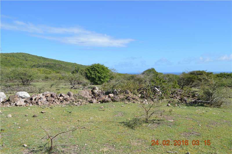 300 acre land for sale in Nevis